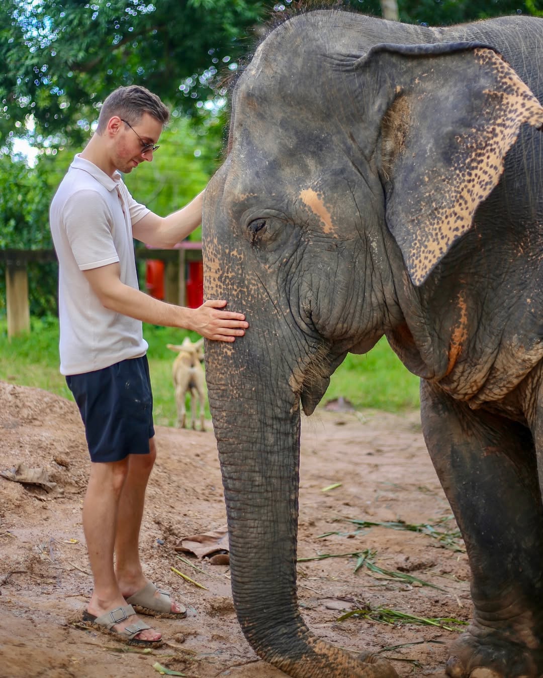 James Hawthorne - Photo 3